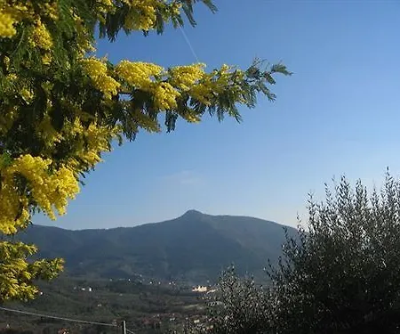 Bed & Breakfast Bellosguardo Calci